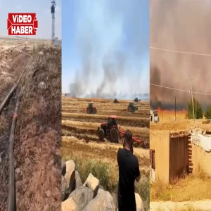 Yine aynı kabus: Şanlıurfa alev alev yanıyor