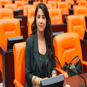 Vekil Ayan kadın ölümlerini Meclis’e taşındı: Gerçekler ortaya çıkarılsın