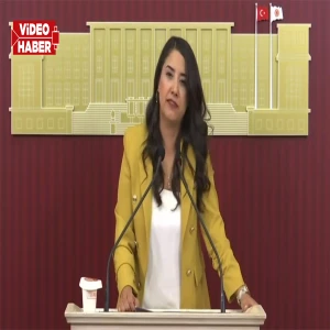 Şanlıurfa vekilinden 'Ölüm yolu' tepkisi! "Urfalılar artık vaat değil, güvenli yol istiyor"