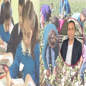 Şanlıurfalı müdürden tarım işçisi çocukları için eğitimde eşitlik çağrısı