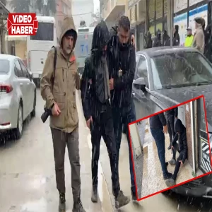 Şanlıurfalı gazeteciye akrep çarptı: Ayağından yaralı...