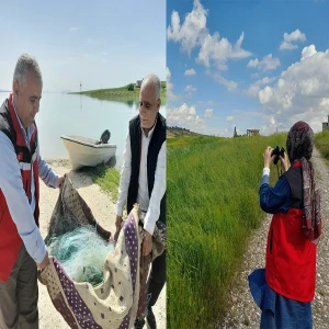 Şanlıurfa'da kaçak avcılara geçit yok: Metrelerce kaçak ağ çıkarıldı