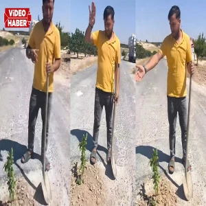 Şanlıurfa’da çukurlar vatandaşı canından bezdirdi! Yol ortasına ağaç diktiler