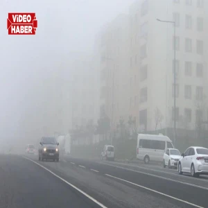Şanlıurfa'da sis etkili oldu: Birçok ilçede görüş mesafesi düştü