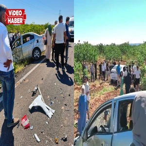 Şanlıurfa'da korkunç kaza: Otomobil fıstık bahçesine uçtu: Çok sayıda kişi yaralandı