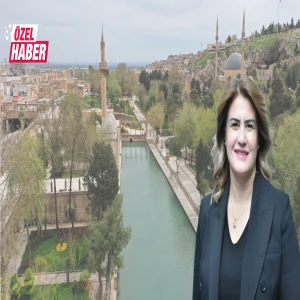 Şanlıurfa’da sömestr hayali yerle bir oldu: Yaprak kıpırdamıyor