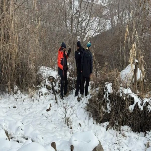 Şanlurfa'nın komşu ilinde kaybolan kadından 4 gündür haber alınamıyor