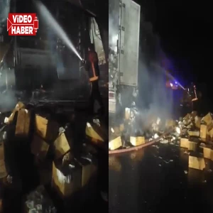 Şanlıurfa'da peçete yüklü tır alevlere teslim oldu