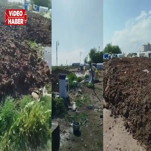 Şanlıurfalı mevsimlik işçiler zorlu yaşam koşullarıyla karşı karşıya