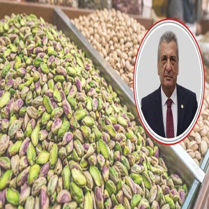 Şanlıurfa ve Gaziantep çiftçisinin alın terine ihanet!