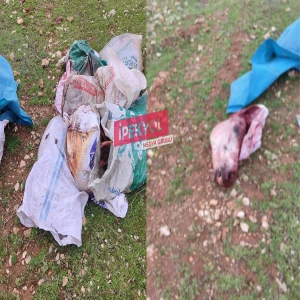 Şanlıurfa'da skandal görüntüler: Kesilmiş at...