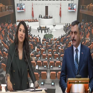 Vekil Ayan, Alman aktivistin saldırı iddiasını Meclis gündemine taşıdı: Soruşturma açıldı mı?
