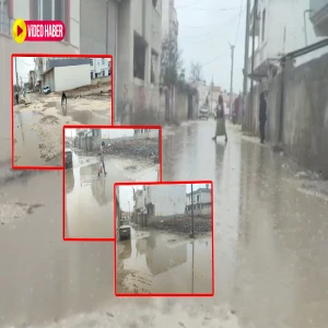 Şanlıurfa'da evlere yağmur sularının girmesine ramak kaldı! Yollar göle döndü