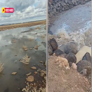 Şanlıurfa'daki yağışlar baraj ve göllere can suyu oldu!