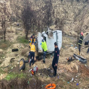 Gaziantep-Şanlıurfa otoyolunda otomobil şarampole uçtu: 1 ölü