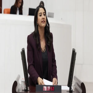 Şanlıurfalı vekilden gözaltına alınan gazeteciler için çağrı
