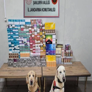 Şanlıurfa’da farklı türde binlerce pakete el konuldu! 27 şüpheliye adli işlem
