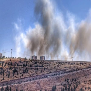 Şanlıurfa'da arazide yangın çıktı: Siyah dumanlar gökyüzünü kapladı!