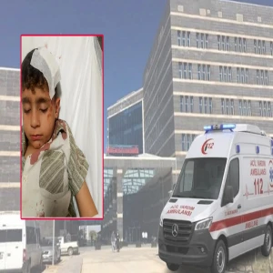 Şanlıurfa'da  parkta feci kaza: Küçük çocuk yoğun bakımda