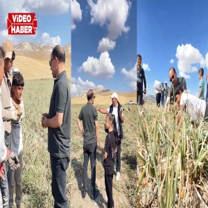 Şanlıurfalı mevsimlik tarım işçilerinin zorlu mesaisi bu kez Ankara’da gündemde