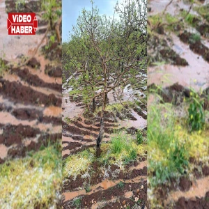 Şanlıurfa'yı yağmur vurdu: Tarım arazileri sular altında