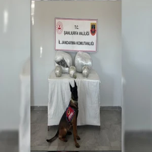 Şanlıurfa’da kilolarca zehir ele geçirildi! 1 gözaltı