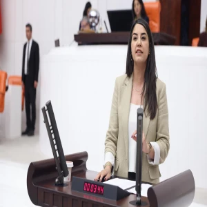 Şanlıurfa vekilinden mevsimlik işçiler için meclis araştırması talebi