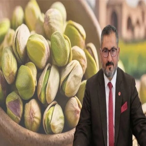 Şanlıurfalı başkandan korkutan fıstık uyarısı! Yok denecek kadar azaldı, acil durdurulsun