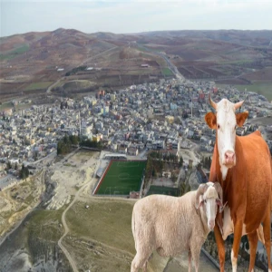 Belediye ismini kullanıp bunu da yaptılar! Şanlıurfa’da bayramda akılalmaz kurnazlık