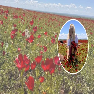 Şanlıurfa’da bahar yolculuğun en güzel molası!