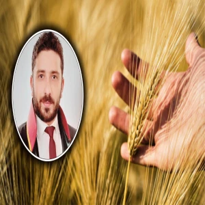 Şanlıurfalı çiftçilere kritik uyarı! "Ürünüm gitti" demeden önce bunu bilin