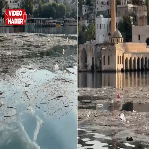 Halfeti’ye bu görüntüler yakışmıyor! Adeta çöp adaları oluştu