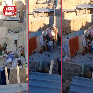 Şanlıurfa'da tüm mahalle aynı kokudan şikayetçi! Ev değil çöplük