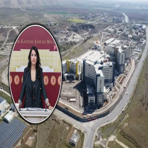 Şanlıurfa’da çocuklar için sadece 2 doktor var! Konu Meclis’te