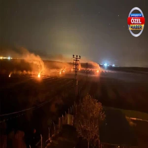 Şanlıurfa'da çiftçinin uykusuz gecesi! Gözlerini kırpmadan sabaha kadar beklediler