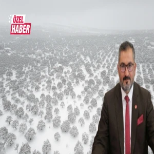 Şanlıurfa’da fıstık gibi gelişme: Kar soğuğu meğer ilaçmış!