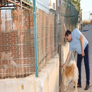 Eş Başkan İnan: Can dostlarımız bize emanet
