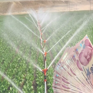 Bakanlık açıkladı:  Destek ödemeleri hesaplarda