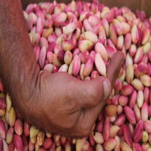 Şanlıurfa’nın yeşil altını hareketlendi! Fiyatlar artmaya başladı