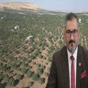 Şanlıurfa’da fıstık ekecekler dikkat! Yanlış dikim servet kaybettiriyor