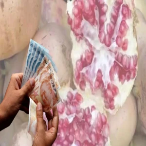 Fıstıktan sonra bir stokçuluk iddiası da narda!