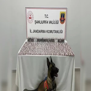 Bakan Yerlikaya operasyonların bilançosunu açıkladı! Raporda Şanlıurfa da var