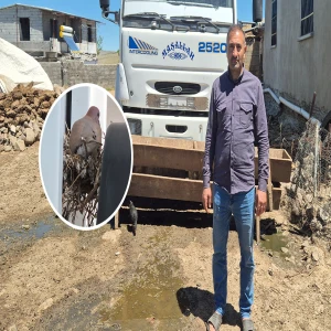 Şanlıurfa’da kamyon kasasında beklenmedik misafir! Şoförden insanlık dersi