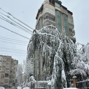 Görenlerin yüreği ağzına geldi! Haliliye'de korkutan manzara