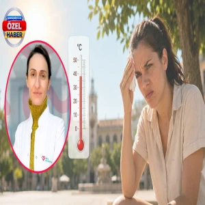 Şanlıurfa'da neden herkes bu kadar sinirli? Arkasındaki sır perdesi aralandı!