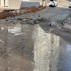Şanlıurfa'da kanalizasyon taştı, vatandaş isyan etti! "Sahipsiz memleket "