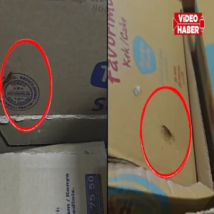 Şanlıurfa’daki markette mide bulandıran skandal! Böcekler cirit atıyor