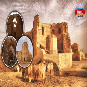 Şanlıurfa’da Evliya Çelebi’nin hayran kaldığı 1500 yıllık tarihi hazine!