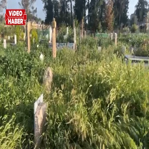 Harran’daki mezarlık vatandaşların tepkisini çekti! “Kabir ziyaretine korkarak gidiyoruz”
