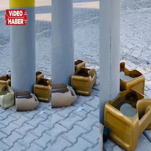 Şanlıurfa'da esnaftan örnek duyarlılık: Can dostlarına bir kap su